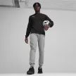 Puma teamGOAL kereknyakú pulóver  - L