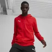 Puma teamGOAL cipzáras kapucnis melegítőfelső  - M